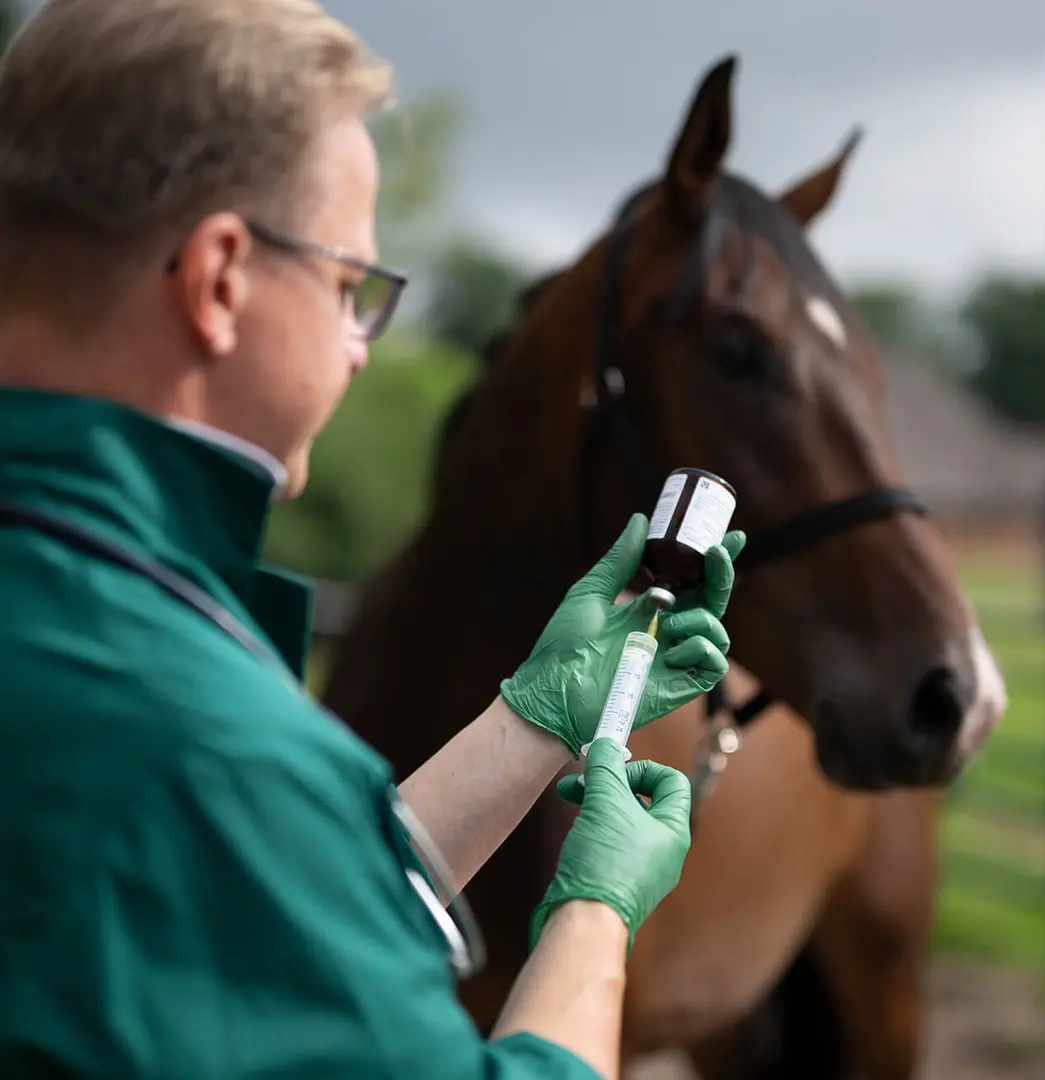 Tierärztin streichelt ein Pferd