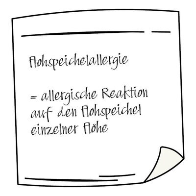 Zeichnung Flohspeichelallergie