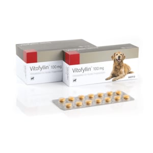 Verpackung WDT Vitofyllin 100mg