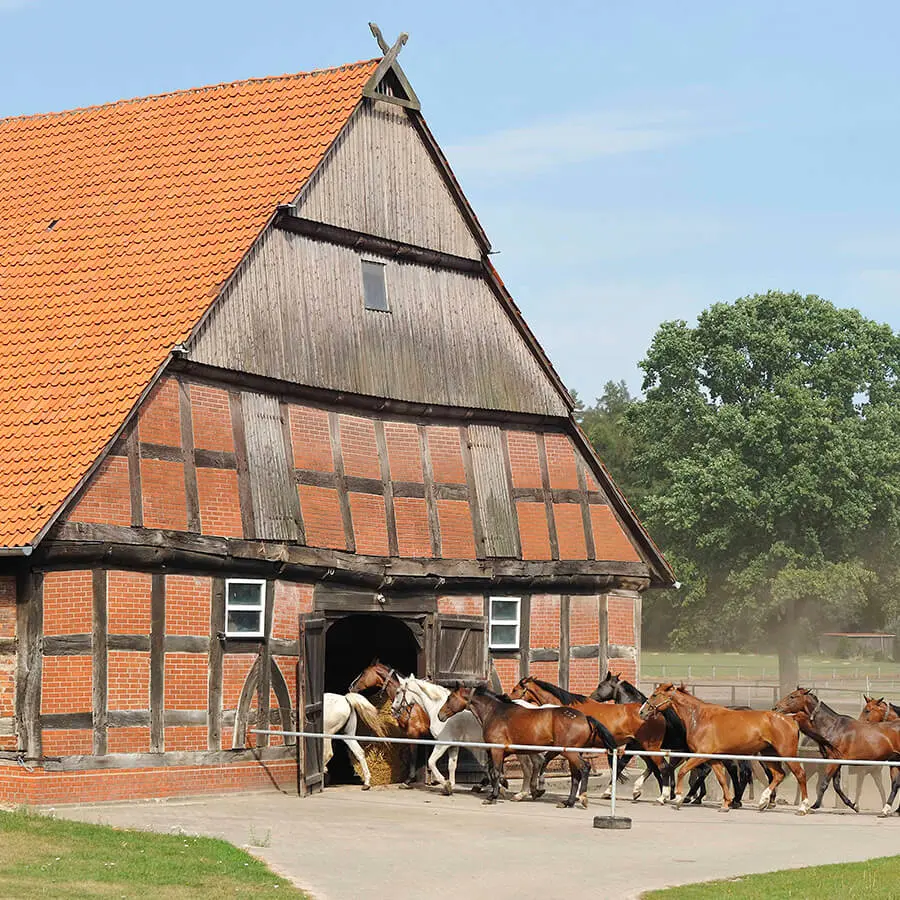 alte Luftaufnahme Serumwerk Memsen