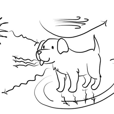 Zeichnung eines Hunde und der Einwirkung von Sonne und Hitze