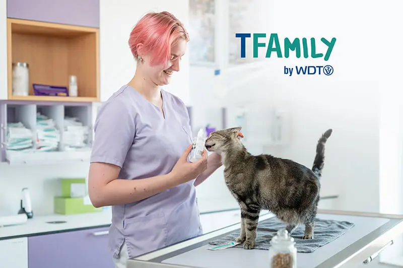 Arzthelferin streichelt eine Katze