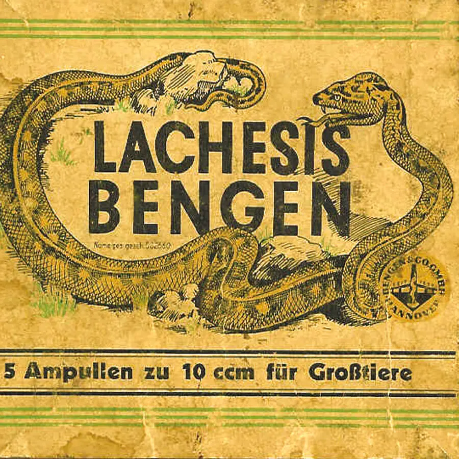 Produktbild Lachesis Bengen