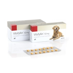 Verpackung WDT Vitofyllin 50mg