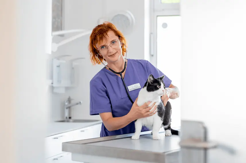 Tierärztin als WDT-Genossenschaftsmitglied