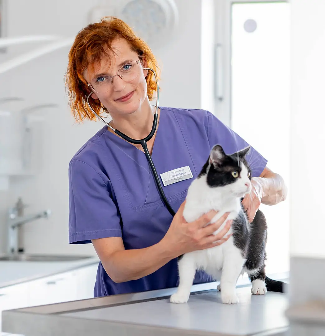 Tierärztin untersucht eine Katze und lächelt