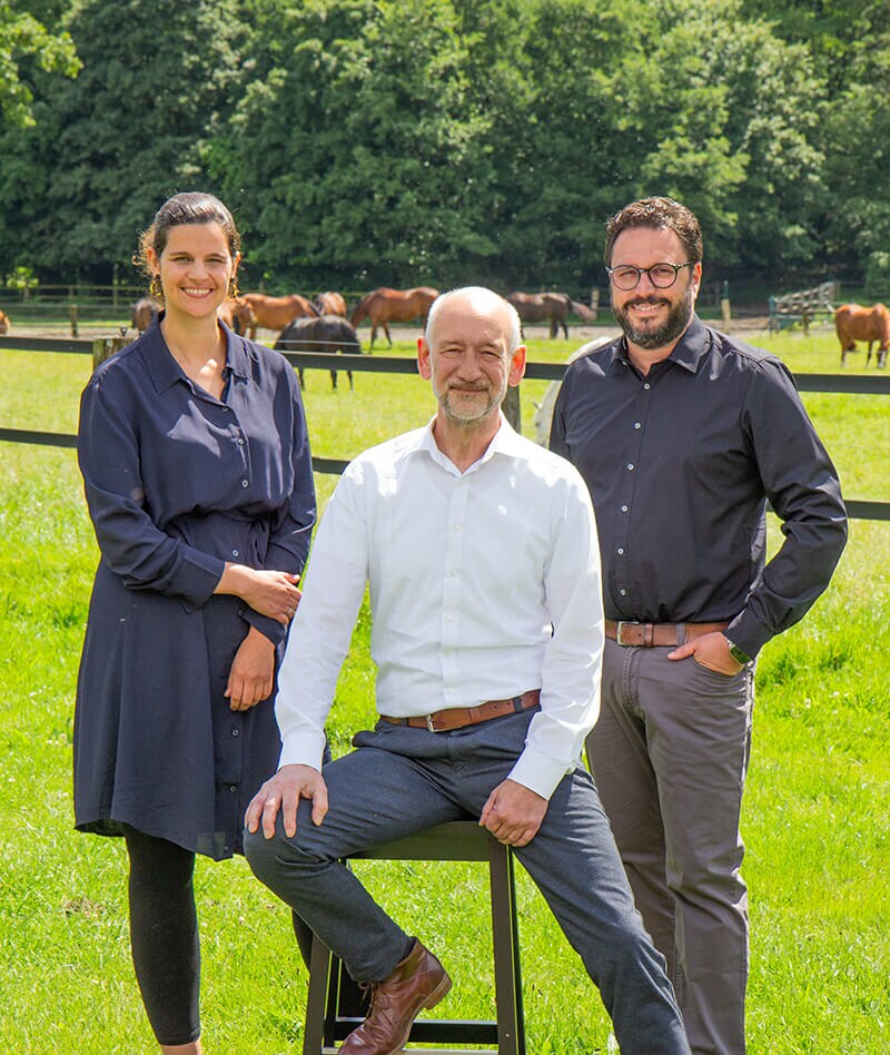 Gruppenfoto des neuen WDT-Vorstands