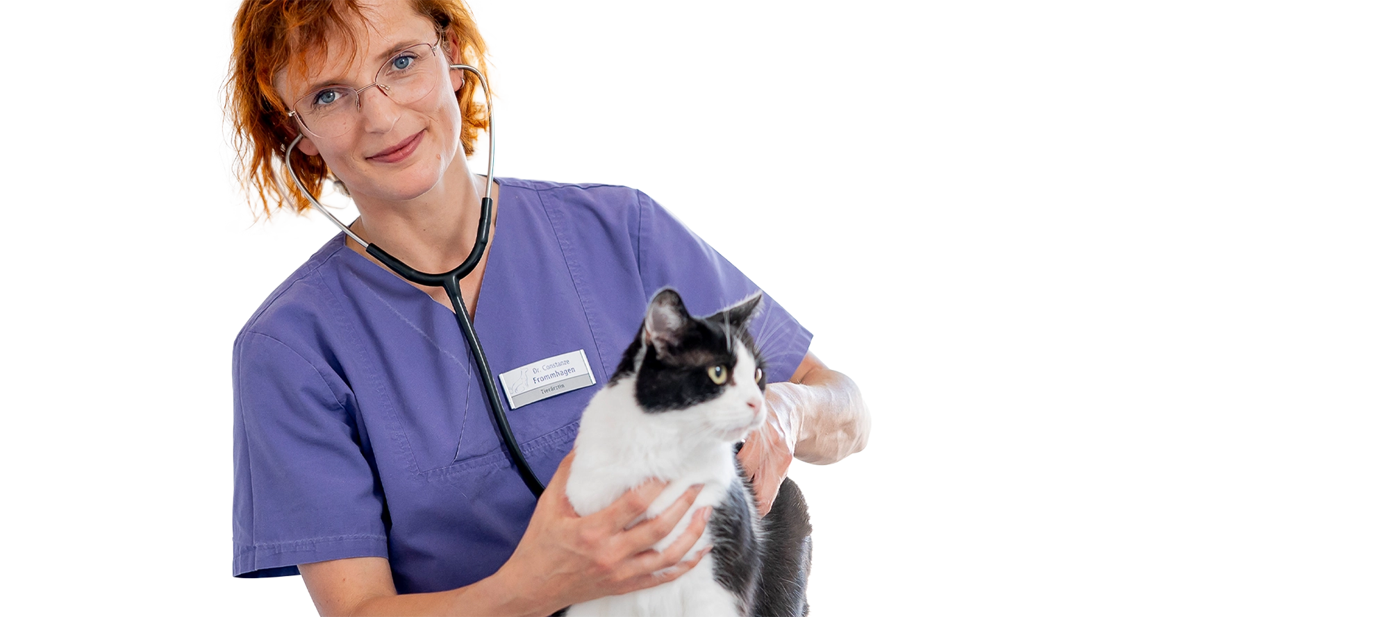 Tierärztin hält eine Katze fest