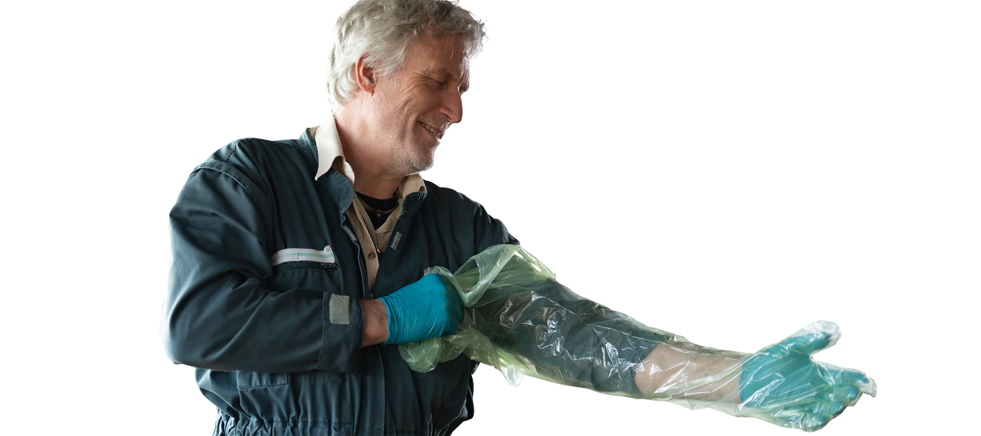 Tierarzt zieht sich einen langen Handschuh an