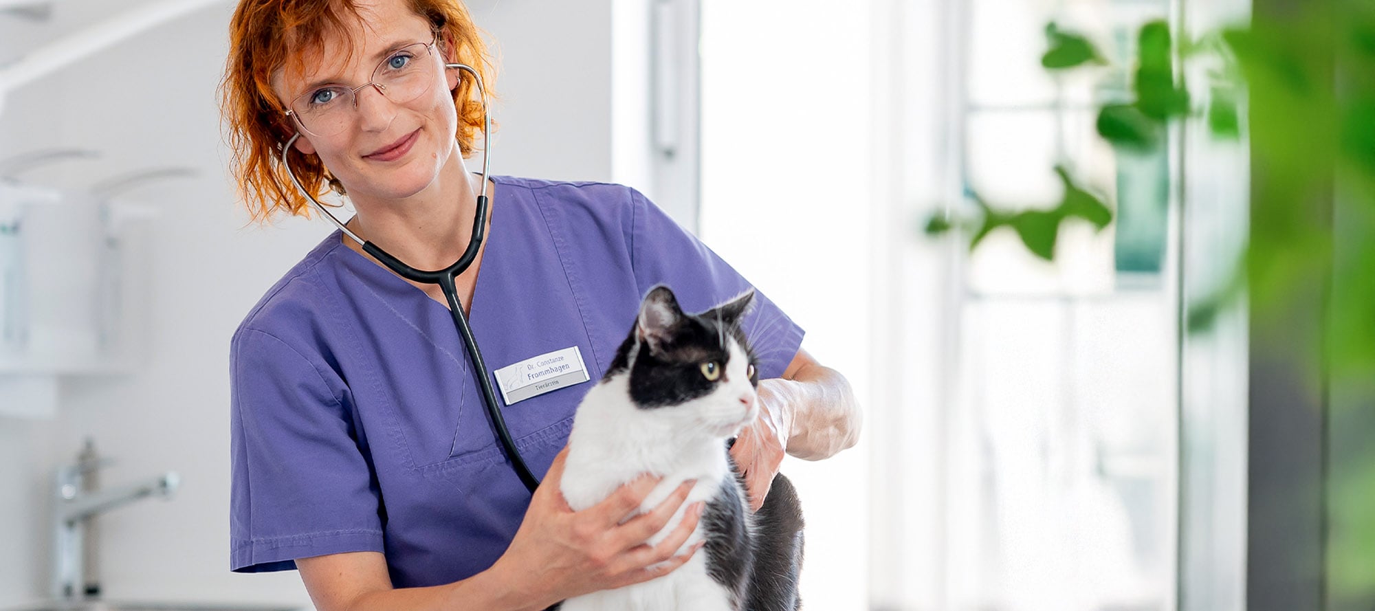 Tierärztin hält eine Katze fest