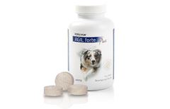 produkt_korvimin_agilforteplus_25626.jpg