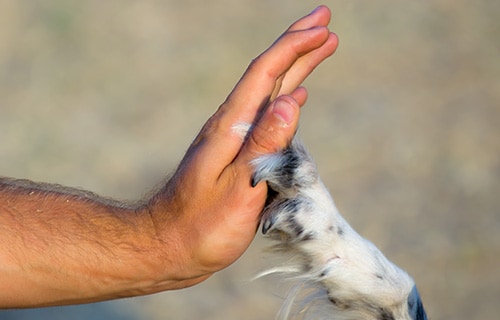 Merkblatt Berührung