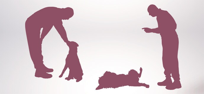 Fachartikel Strafbasiert