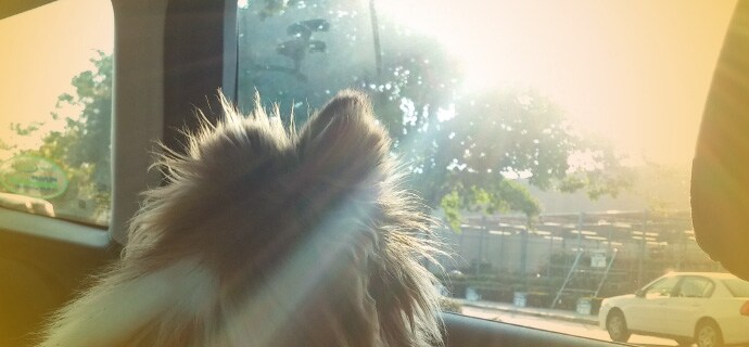 Fachartikel Hitzefalle