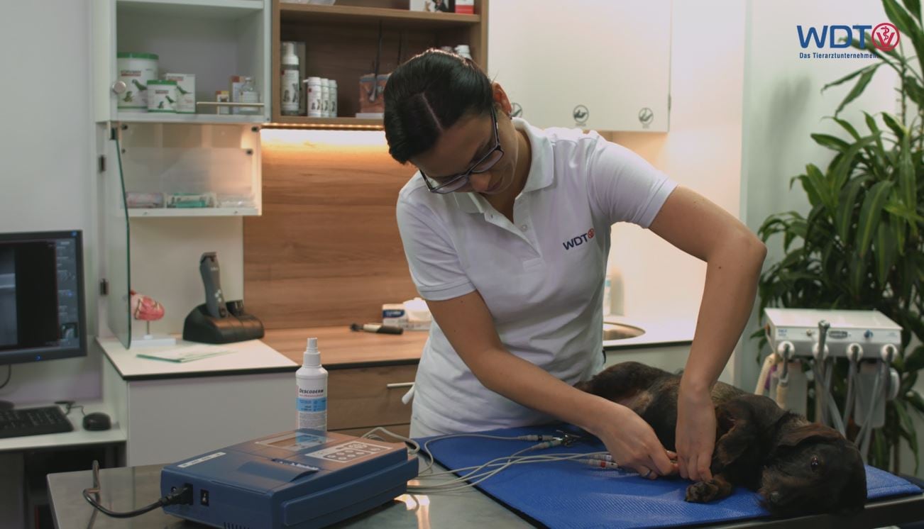 Alle Produktvideos ab sofort online!