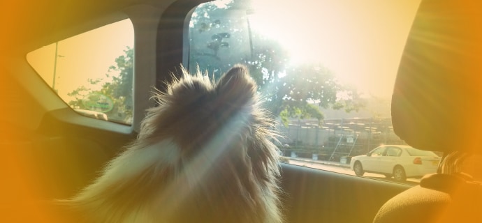 Merkblatt Hitzeposter