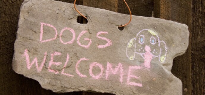 Merkblatt Hund in Spe