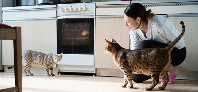 Merkblatt Tierarztbesuch