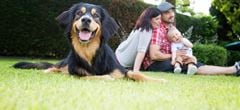 TASSO - Europas größtes Haustierregister bringt Mensch und Tier zusammen