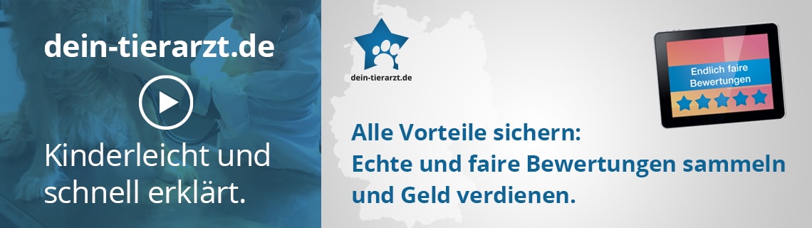 190404_WDT_DT_Banner-Marktplatz_1140x320px.png