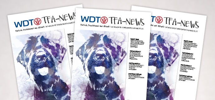 TFA-News 11.pdf