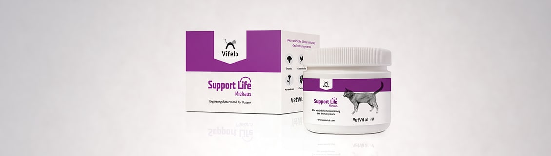 Support Life Miekaus