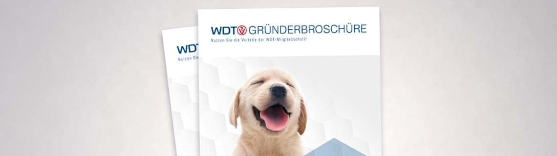 Header Gruenderbroschuere