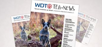 TFA News Q4 2022 Digital