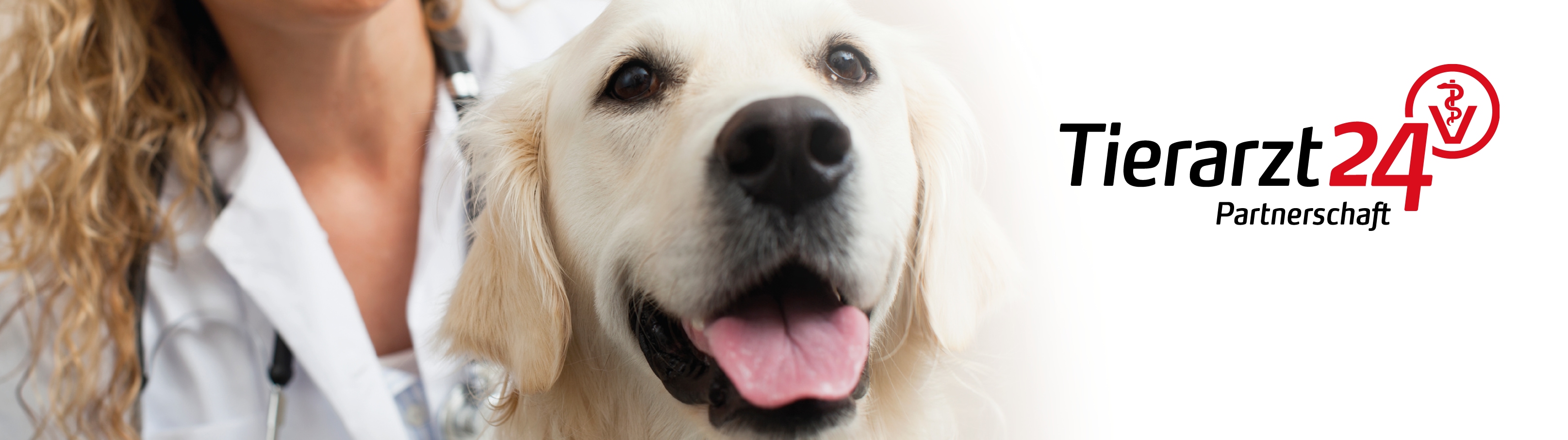 Banner Header Ta24partnerschaft Website2