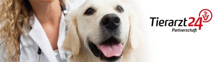 Banner Header Ta24partnerschaft Website2