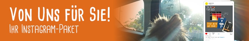 Newsletter Banner Hitzefalle Auto Socialmedia Paket