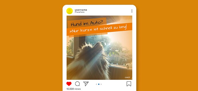 Download Hitzefalle Auto