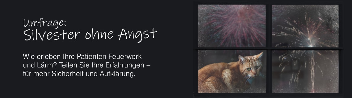 RZ Banner Website Gerauschangst Knaller Umfrageseite 1140X320