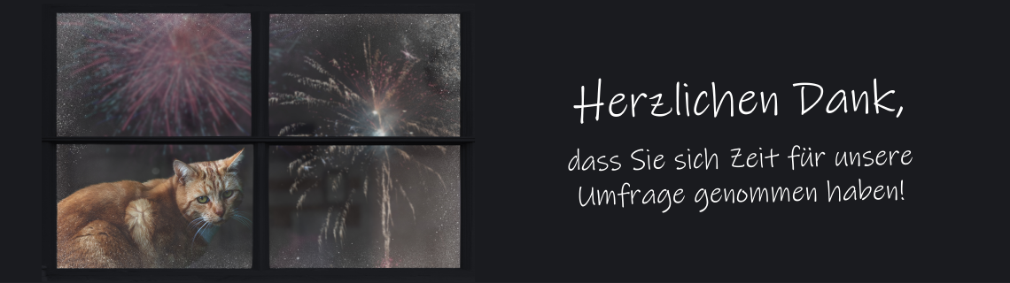 Banner Website Gerauschangst Knaller Umfrageseite Danke 1140X320